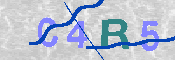 CAPTCHA Image
